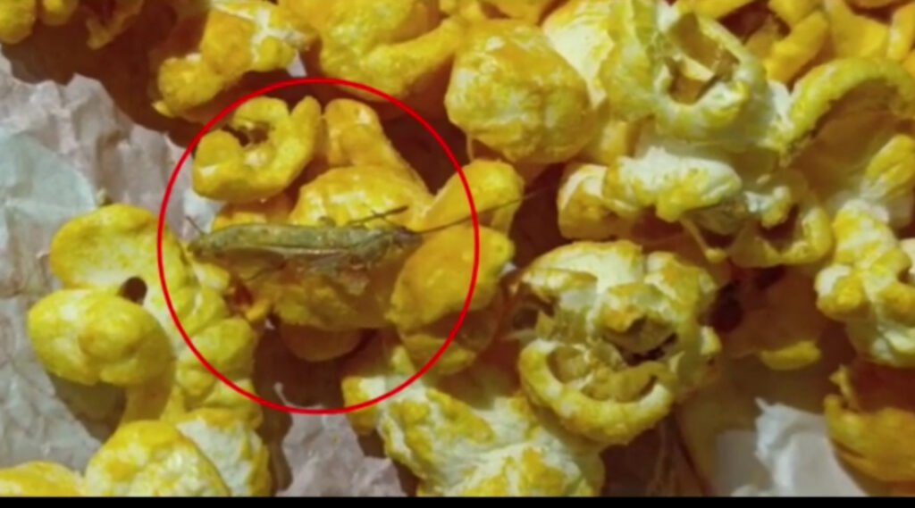 पॉपकॉर्न में कीड़ा, डीमार्ट कंपनी पर लापरवाही का आरोप