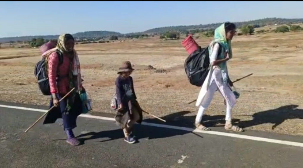 नन्ही परिक्रमावासी,1312 किमी का सफर