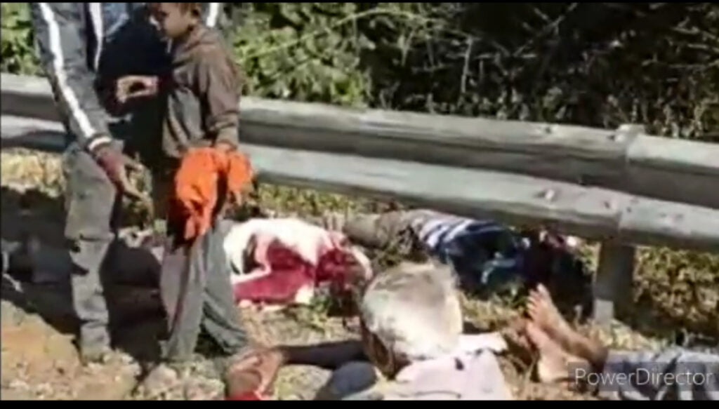 पिंक अप वाहन पलटा ,दो की मौत