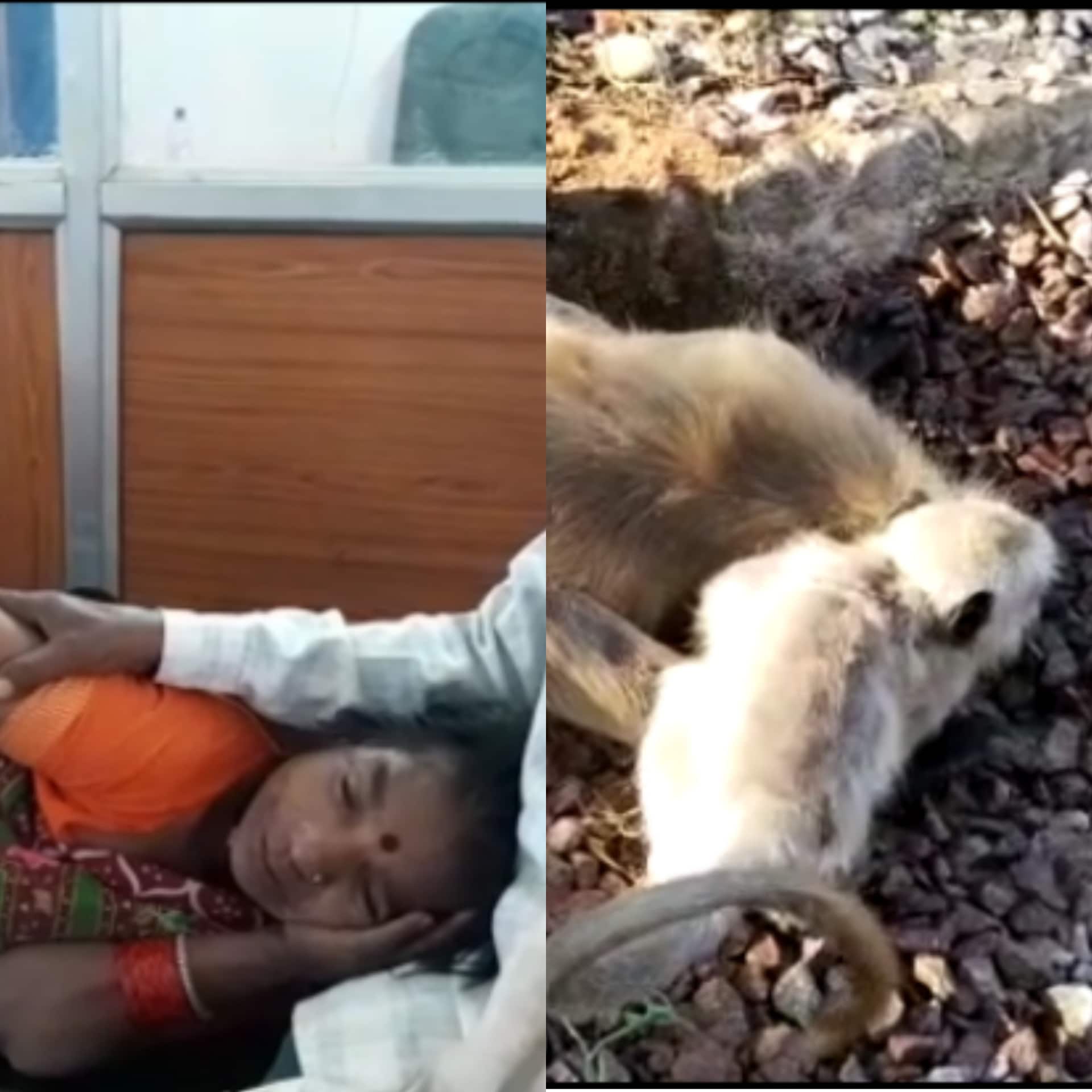 मां के शव पर बिलखता बच्चा, कलयुगी बेटे पर बिलखती मां