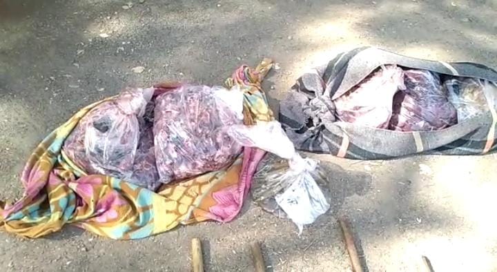 नील गाय का शिकार,मांस के साथ तीन गिरफ्तार