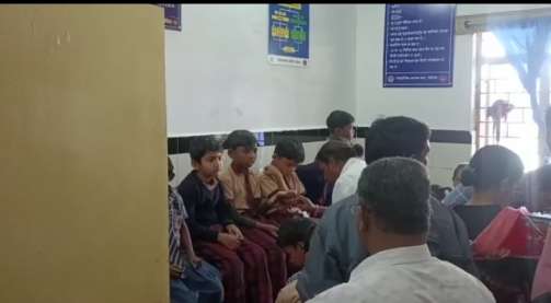 मधुमक्खियों का हमला