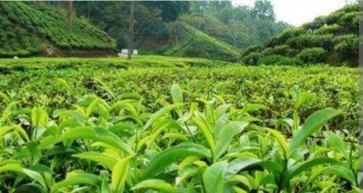 एक नया दिवस शुरू हुआ है आपने मनाया