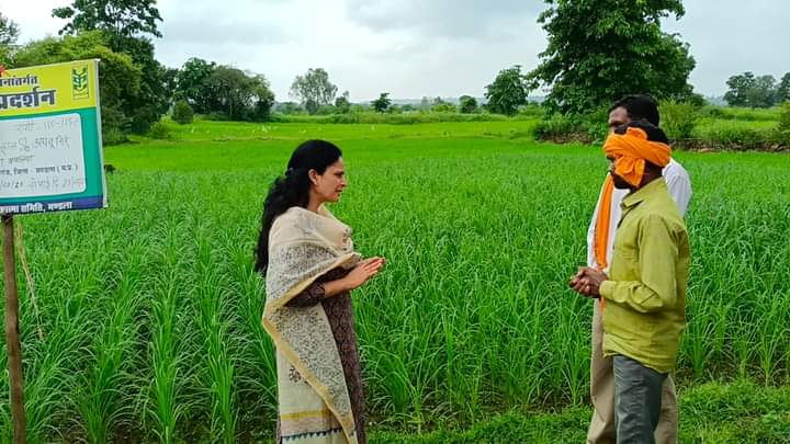 कलेक्टर ने किया मंडला से बरेला मार्ग का निरीक्षण