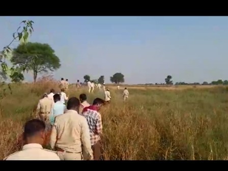 मंडला में रहवासी क्षेत्र में घूम रहे बाघ से दहशत में लोग