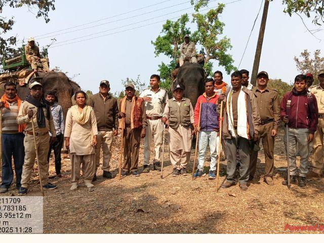 कान्हा वफर जोन में बाघ के हमले से दो लोग घायल