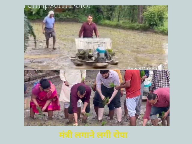 जब मप्र पीएचई मंत्री करने लगी रोपाई का काम