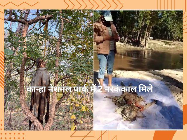 Kanha national park में दो नरकंकाल मिले
