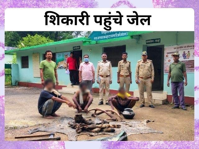 mandla सांभर शिकार के तीन आरोपी गिरफ्तार पहुंचे जेल